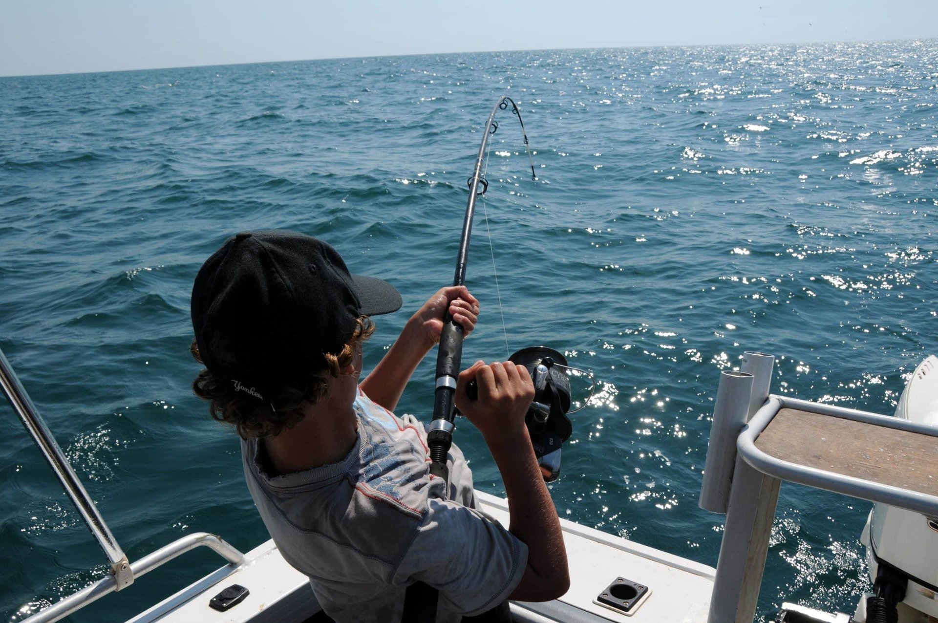 How can technology support sustainable fishing practices? - Lunaphotos