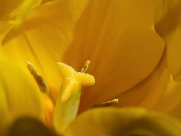 How can real estate projects leverage the benefits of mixed-reality technologies for enhancing user interaction with spaces?